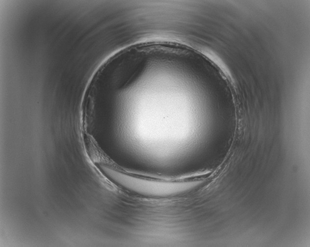 X0000071900996200607212011