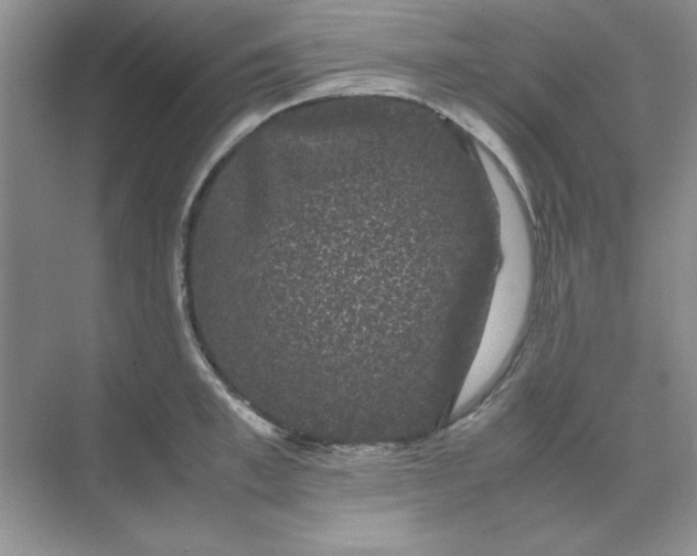 X0000071900997200607212011