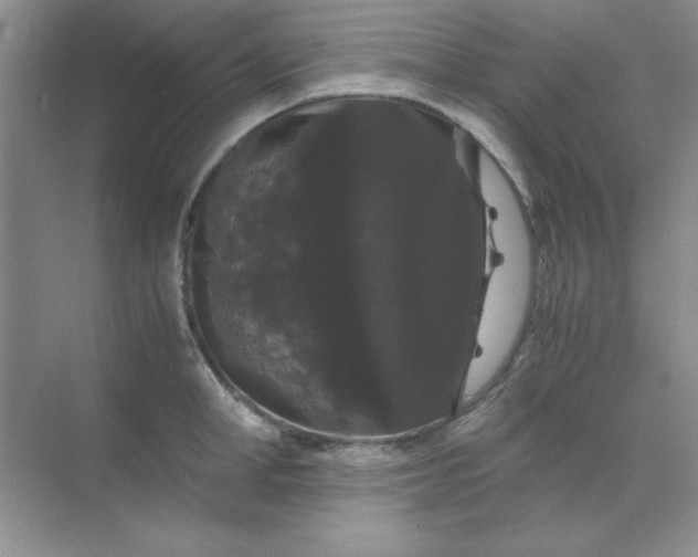 X0000071900998200607212011