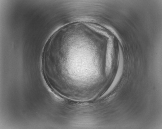 X0000071900999200607212011