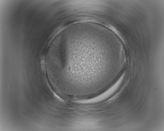 X0000071901001200607212011