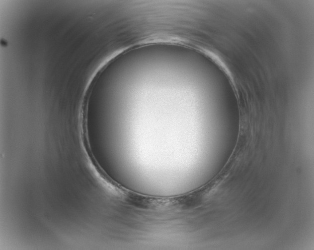 X0000071901003200607212011