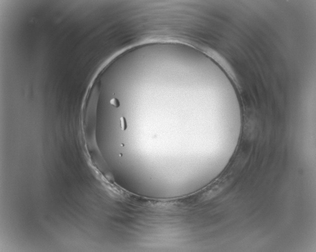 X0000071901004200607212011