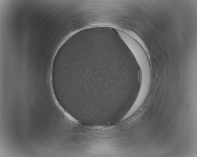 X0000071901005200607212011