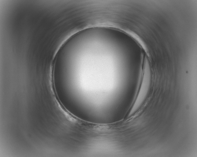 X0000071901006200607212011