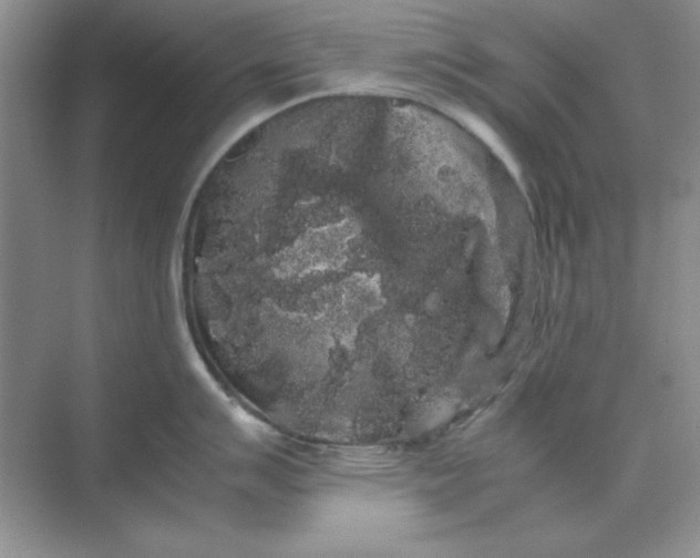 X0000071901007200607212011