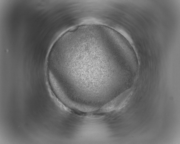 X0000071901008200607212011