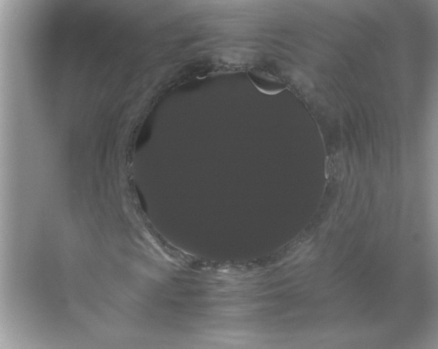 X0000071901009200607212010