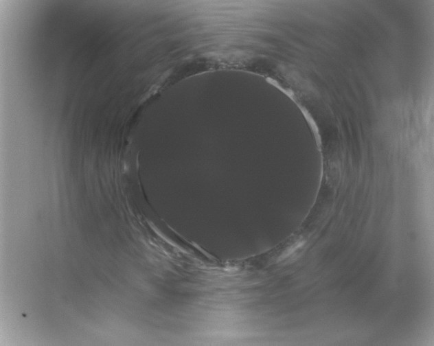 X0000071901010200607212010