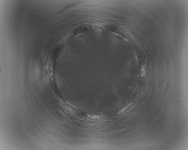 X0000071901011200607212010