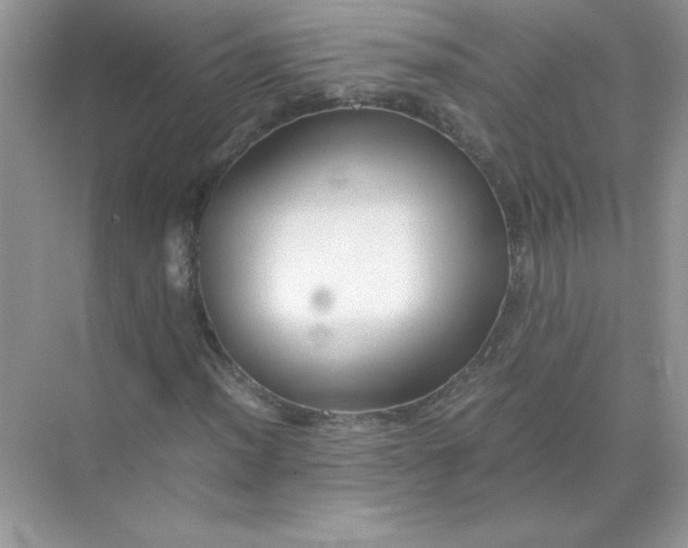 X0000071901012200607212011