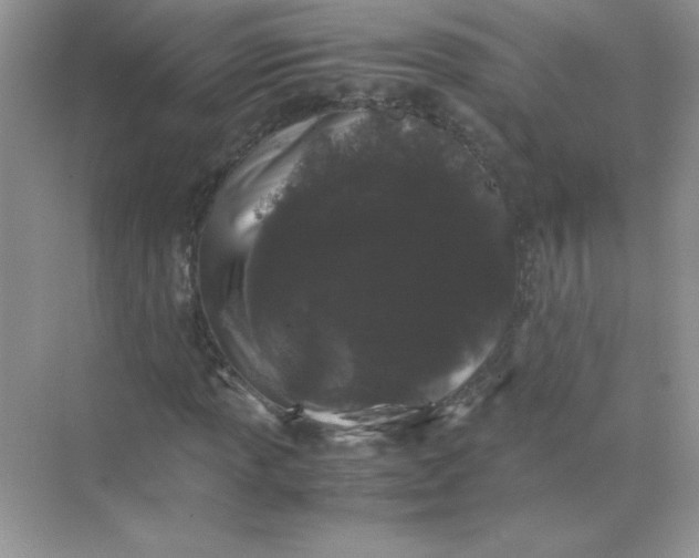 X0000071901013200607212011