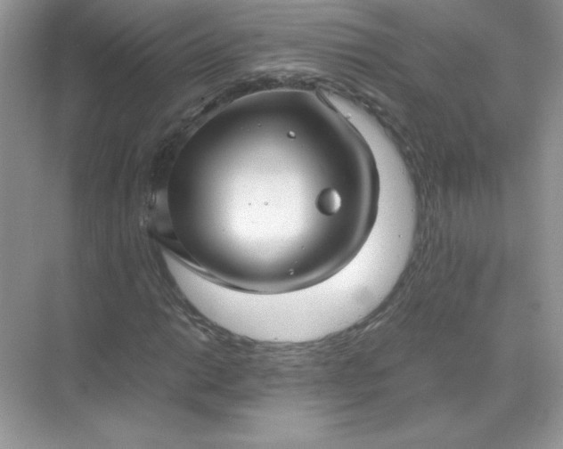 X0000071901014200607212011