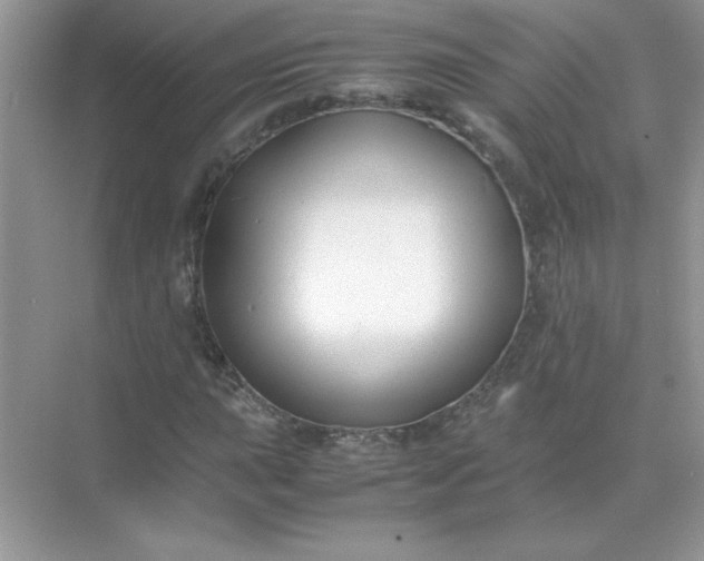 X0000071901015200607212011