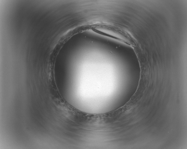 X0000071901016200607212011