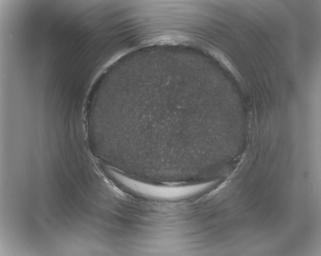 X0000071901018200607212011