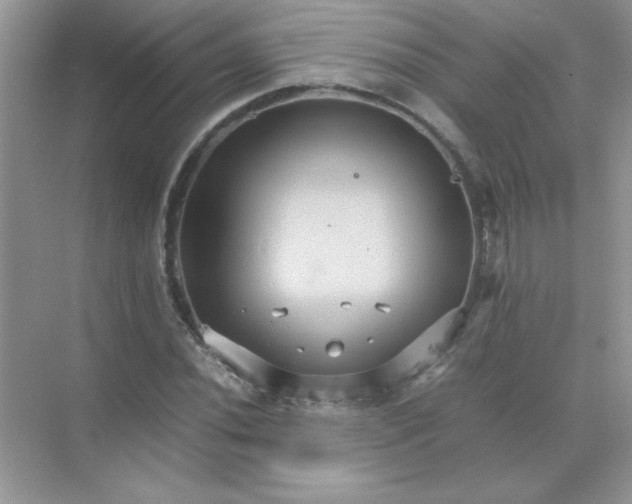 X0000071901020200607212011