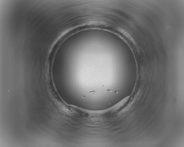 X0000071901021200607212011