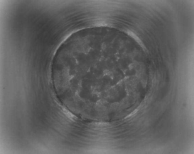 X0000071901023200607212011