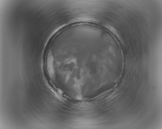 X0000071901024200607212011