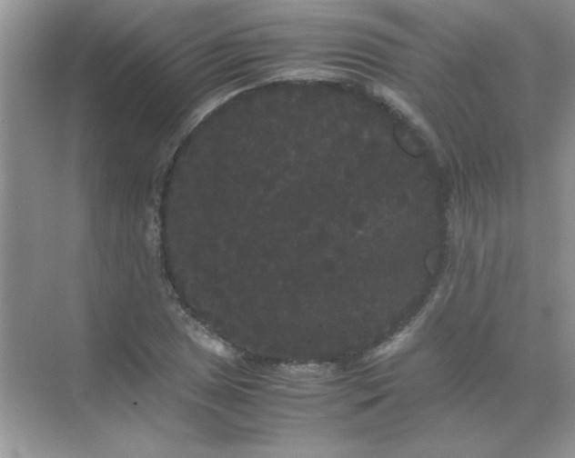 X0000071901025200607212011