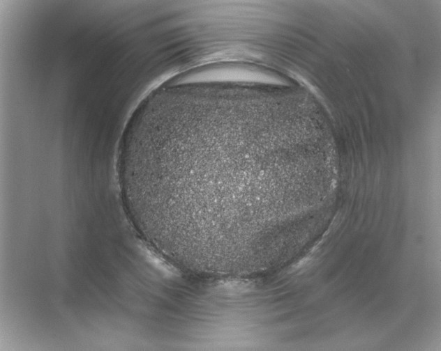 X0000071901026200607212011