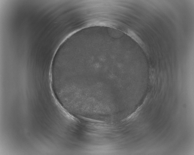 X0000071901028200607212011