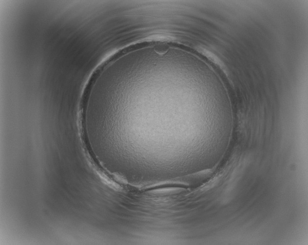 X0000071901029200607212011