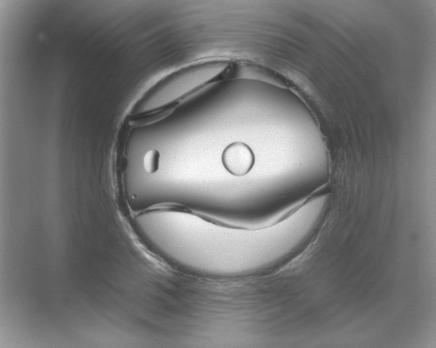 X0000071901030200607212011