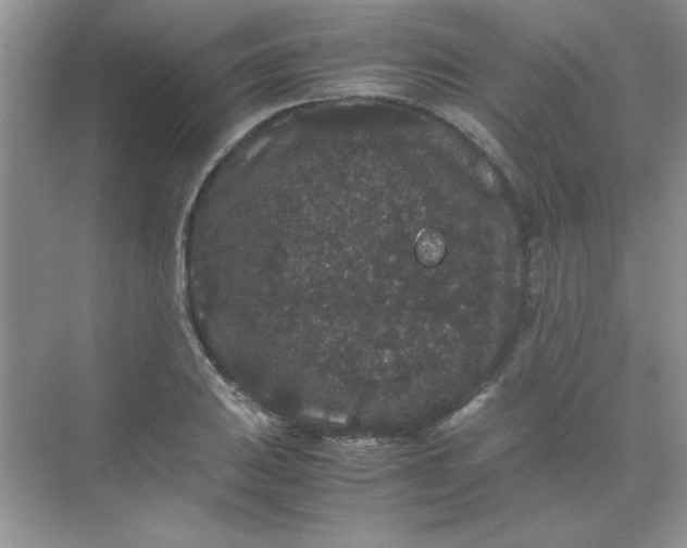 X0000071901031200607212011