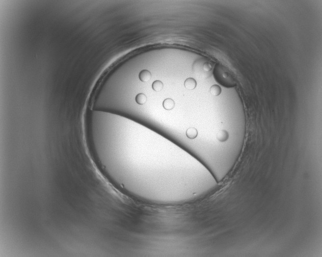 X0000071901032200607212011