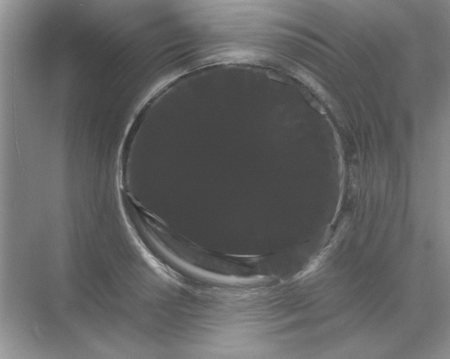 X0000071901034200607212011