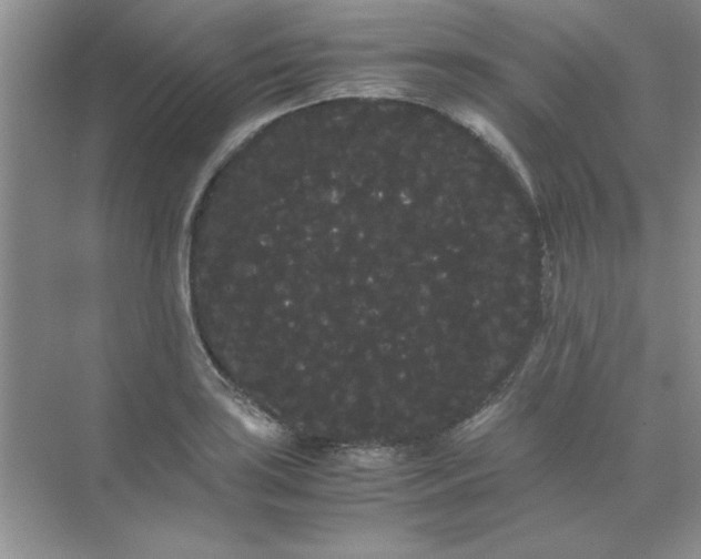 X0000071901035200607212011