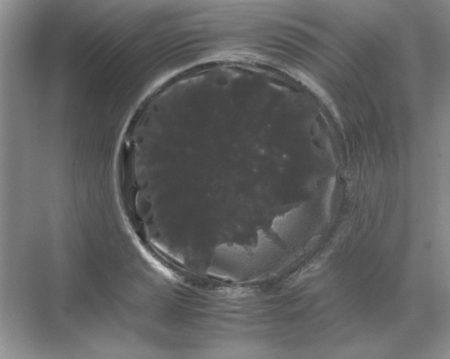 X0000071901037200607212011