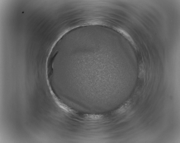 X0000071901039200607212011