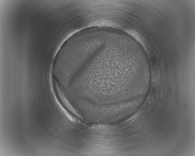 X0000071901040200607212011