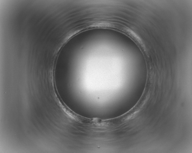 X0000071901041200607212011