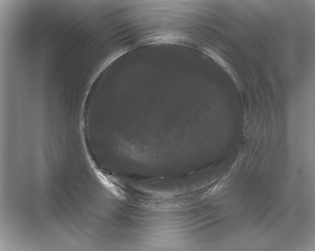 X0000071901042200607212011