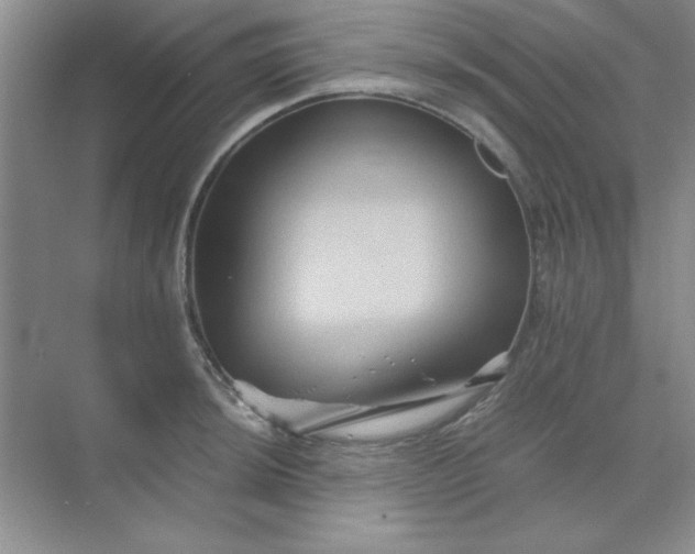 X0000071901044200607212011