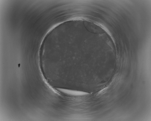 X0000071901045200607212011