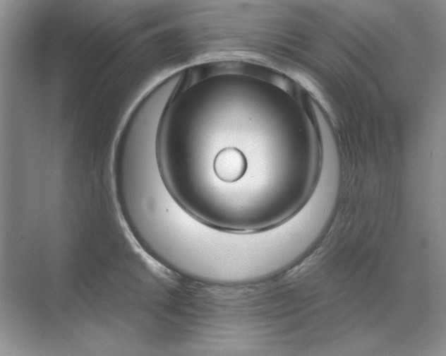 X0000071901046200607212011