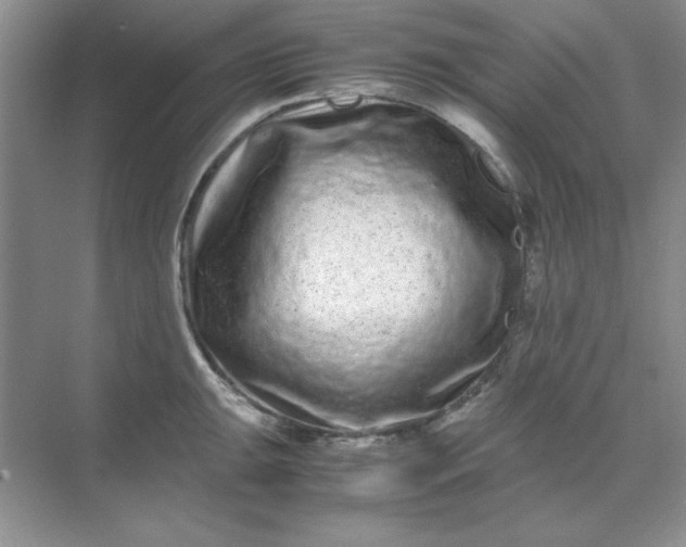 X0000071901047200607212011