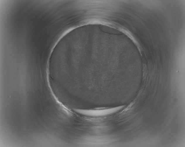 X0000071901048200607212011