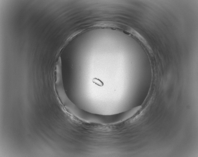 X0000071901049200607212011