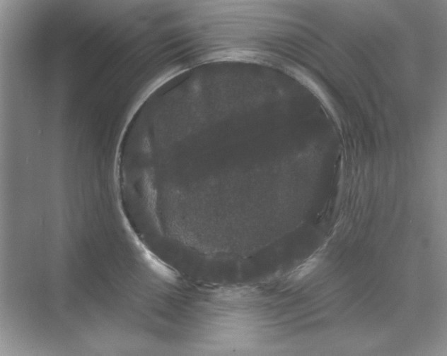 X0000071901050200607212011