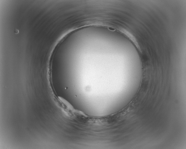 X0000071901051200607212011