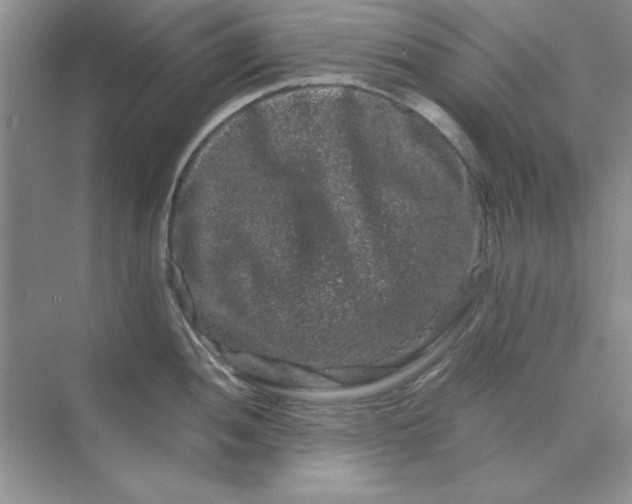 X0000071901052200607212011