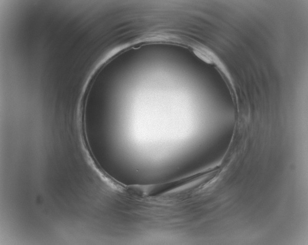 X0000071901053200607212011