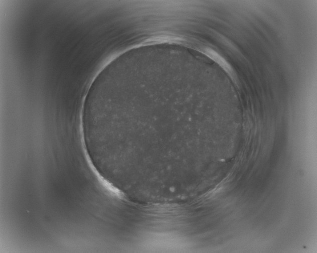 X0000071901055200607212011