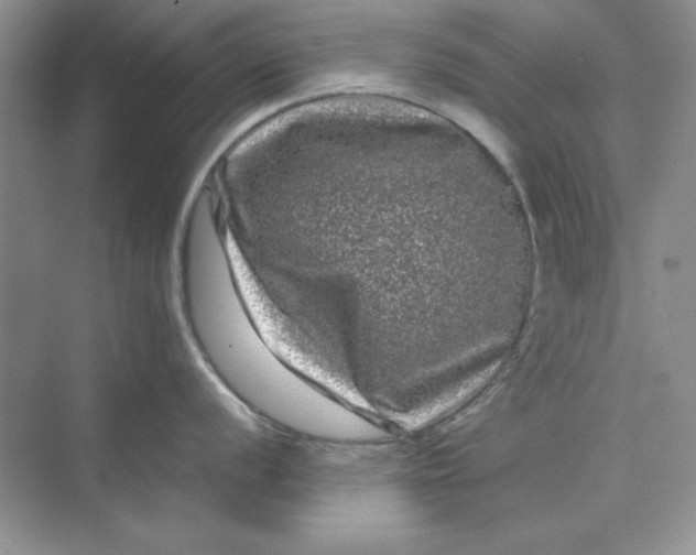 X0000071901056200607212011